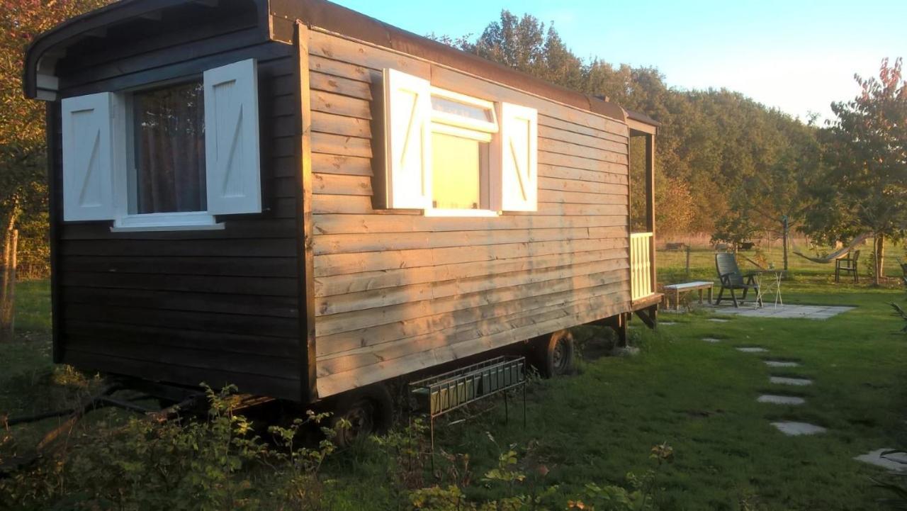 Pipowagen Elsebein Groningen Westerwolde Unieke Ligging Met Eigen Tuin En Vrij Uitzicht Over Veld Naar Natuurgebied Onstwedde Exteriör bild