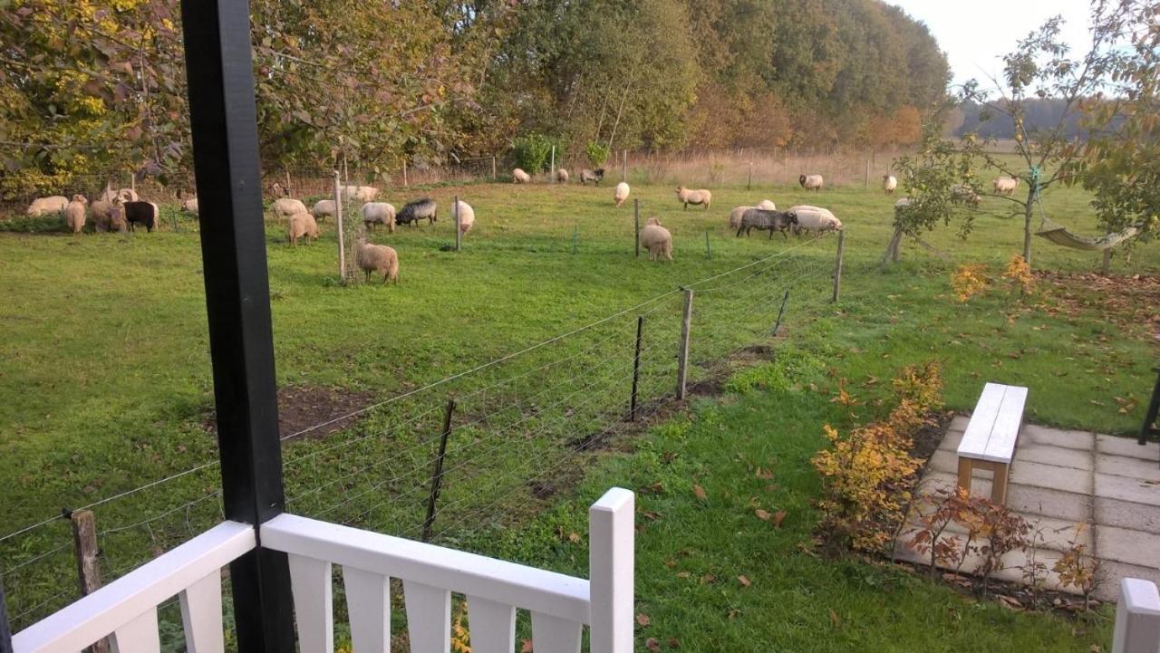 Pipowagen Elsebein Groningen Westerwolde Unieke Ligging Met Eigen Tuin En Vrij Uitzicht Over Veld Naar Natuurgebied Onstwedde Exteriör bild