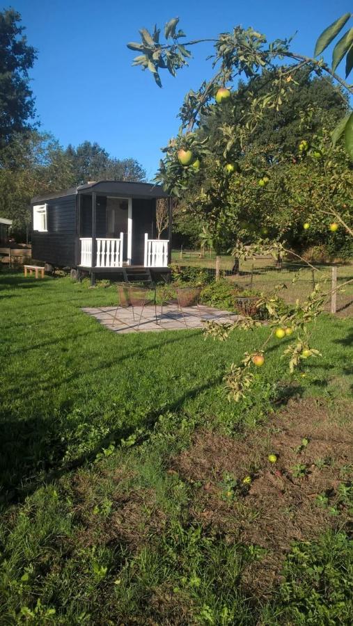 Pipowagen Elsebein Groningen Westerwolde Unieke Ligging Met Eigen Tuin En Vrij Uitzicht Over Veld Naar Natuurgebied Onstwedde Exteriör bild