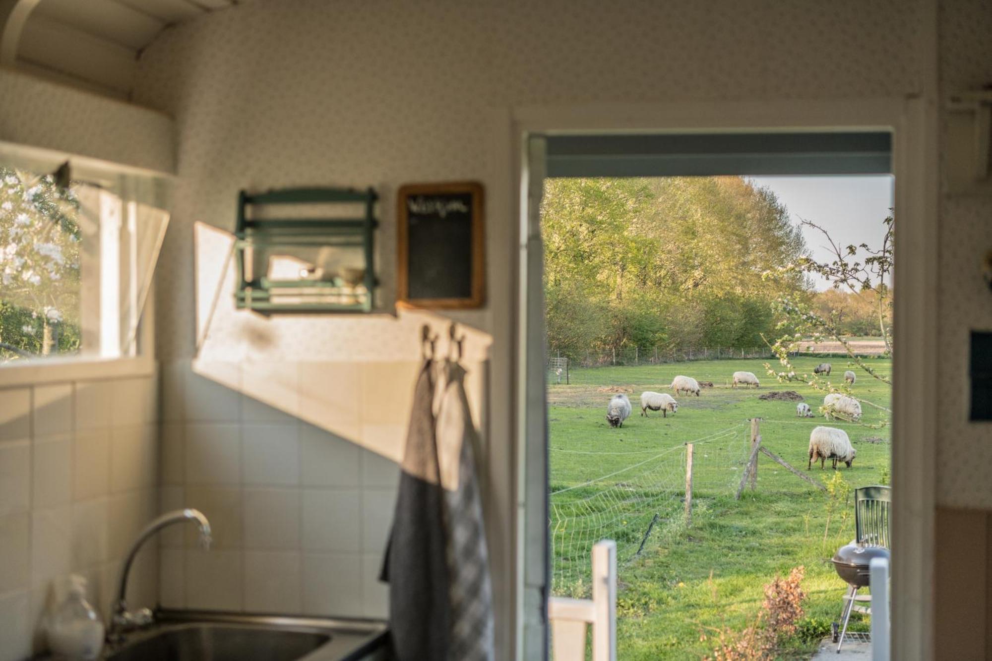 Pipowagen Elsebein Groningen Westerwolde Unieke Ligging Met Eigen Tuin En Vrij Uitzicht Over Veld Naar Natuurgebied Onstwedde Exteriör bild