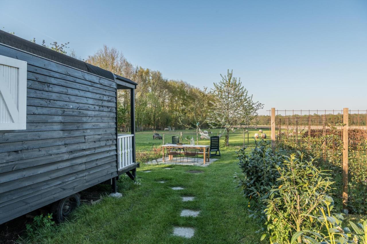 Pipowagen Elsebein Groningen Westerwolde Unieke Ligging Met Eigen Tuin En Vrij Uitzicht Over Veld Naar Natuurgebied Onstwedde Exteriör bild